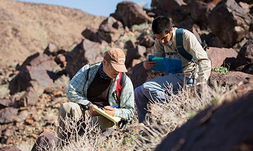 Professor and student examining flora in the desert
